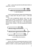 Diplomdarbs 'Pseido gadījumskaitļu ģeneratora rīka izstrāde FPGA platei, izmantojot programmu', 15.