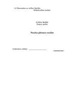 Referāts 'Naudas plūsmas analīze', 1.