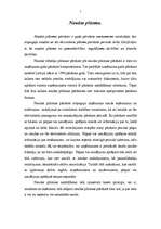 Referāts 'Naudas plūsmas analīze', 5.