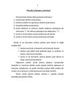 Referāts 'Naudas plūsmas analīze', 8.