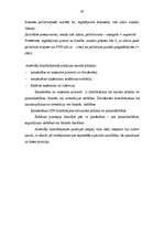 Referāts 'Naudas plūsmas analīze', 30.