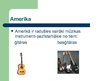 Prezentācija 'Tradicionālā mūzika Amerikā un Austrālijā', 2.