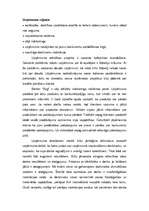 Referāts 'Mārketings', 8.