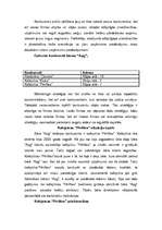 Referāts 'Mārketings', 12.