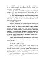 Referāts 'Mārketings', 17.