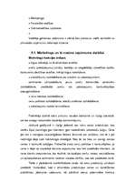 Referāts 'Mārketings', 19.