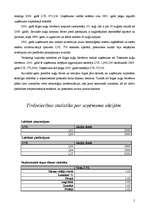 Referāts 'Rīgas kuģu būvētava kā investīciju objekts', 5.