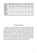 Referāts 'Rīgas kuģu būvētava kā investīciju objekts', 7.