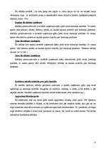 Referāts 'Rīgas kuģu būvētava kā investīciju objekts', 13.