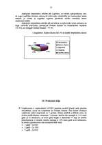 Referāts 'Parex Bankas piedāvātie kredīti', 22.