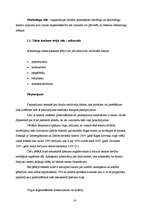 Referāts 'Reklāmas plāns SIA "Balsts"', 14.