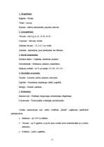 Referāts 'Reklāmas plāns SIA "Balsts"', 15.