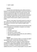 Referāts 'Reklāmas plāns SIA "Balsts"', 16.