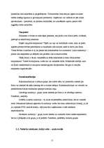 Referāts 'Reklāmas plāns SIA "Balsts"', 17.