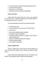 Referāts 'Reklāmas plāns SIA "Balsts"', 19.