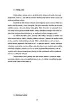 Referāts 'Reklāmas plāns SIA "Balsts"', 28.