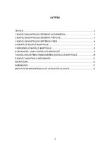 Referāts 'Sociālā kontrole', 2.