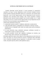 Referāts 'Ievešana pārstrādei muitas kontrolē', 3.