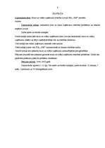 Referāts 'Mazo un vidējo uzņēmumu attīstība Latvijā', 2.