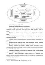 Referāts 'Mazo un vidējo uzņēmumu attīstība Latvijā', 28.