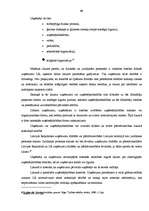 Referāts 'Mazo un vidējo uzņēmumu attīstība Latvijā', 40.