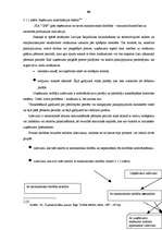 Referāts 'Mazo un vidējo uzņēmumu attīstība Latvijā', 67.