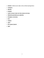 Konspekts 'Ojārs Vācietis "Si minors"', 6.