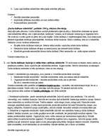 Konspekts 'Emīls Dirkems', 3.