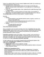 Konspekts 'Emīls Dirkems', 5.