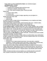 Konspekts 'Emīls Dirkems', 6.