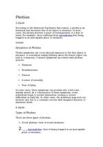 Prezentācija 'Phobias', 14.