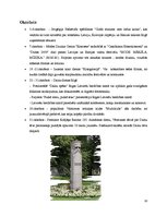 Konspekts '2000.gads Latvijā', 10.