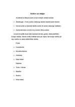 Konspekts 'Latvijas vēsture no vissenākajiem laikiem līdz 16.gadsimtam', 4.