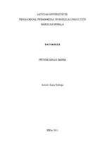 Referāts 'Datorpele', 1.