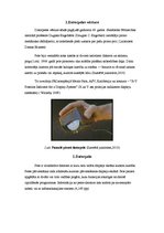 Referāts 'Datorpele', 3.