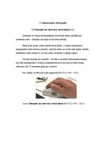 Referāts 'Datorpele', 8.