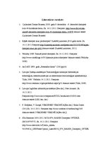 Referāts 'Datorpele', 16.