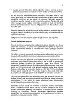 Referāts 'Novadu izveidošanas projekts', 6.