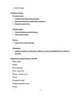 Konspekts 'Kvalifikācijas eksāmens sākumskolā', 3.