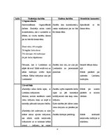 Konspekts 'Kvalifikācijas eksāmens sākumskolā', 4.