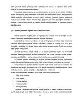 Diplomdarbs 'Mobilās palīdzības brigādes modelis veciem cilvēkiem aprūpē mājās', 22.