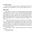 Referāts 'Ūdensskaitītāja ietekmes uz vidi novērtējums', 12.