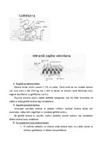 Referāts 'Ūdensskaitītāja ietekmes uz vidi novērtējums', 20.