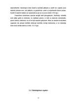 Diplomdarbs 'Preventīvā sociālpedagoģiskā darbība pusaudžu alkoholisma mazināšanā bērnu namā ', 12.