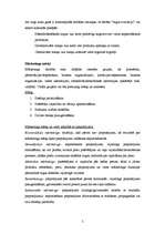 Konspekts 'Galvenie mārketinga jautājumi', 2.