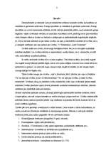 Referāts 'Bērnu personības attīstības sistēmisks raksturojums', 2.