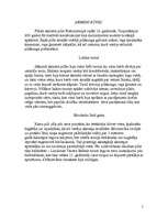 Referāts 'Viduslaiku pilis', 5.