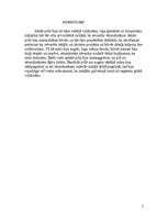 Referāts 'Viduslaiku pilis', 7.