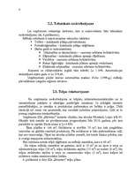 Biznesa plāns 'SIA "Meistari"', 6.