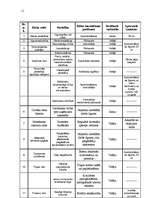 Biznesa plāns 'SIA "Meistari"', 11.